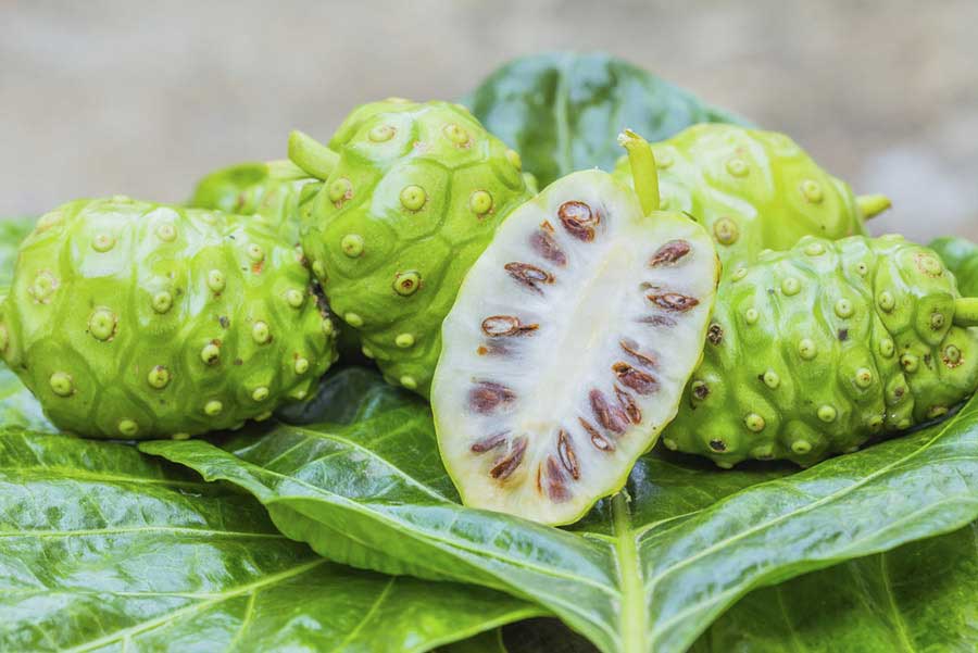 noni